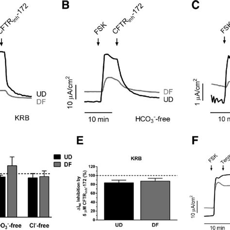 Functional Involvement Of Basolateral Ion Transporters And Carbonic