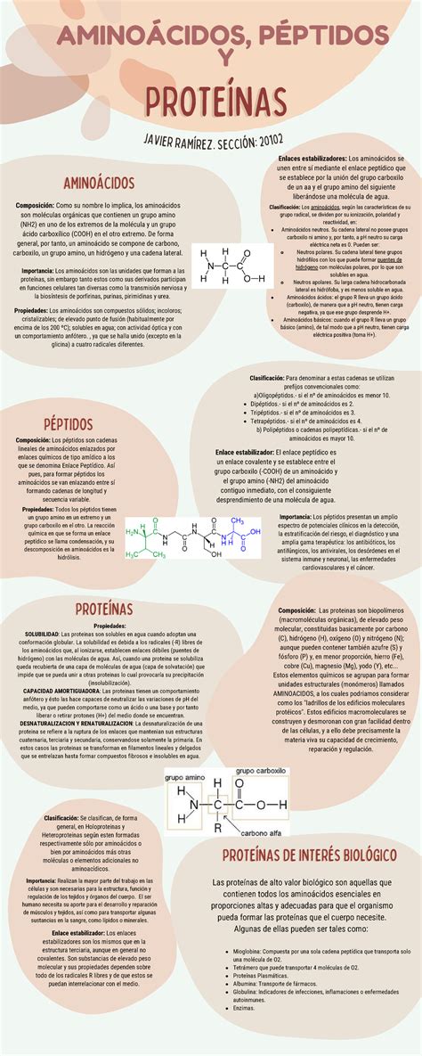 Infografia Javier Aminoacidos PROTEÍNASPROTEÍNAS AMINOÁCIDOS