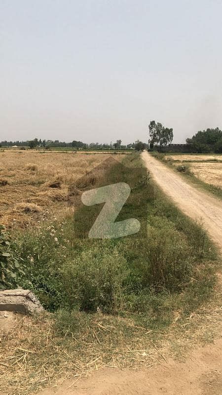 Kanal Farm House Land For Sale Mozza Jahman Main Bedian Road Lahore