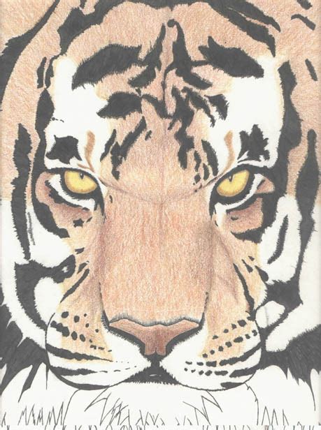 Tiger Art
