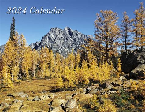 Lee Jacobson Calendar Payment Yearbox Calendars