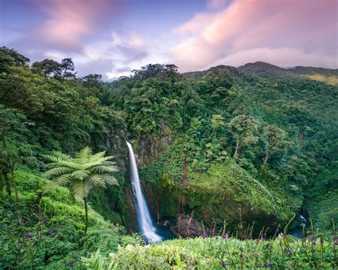 Cosas Que Hacer En Manuel Antonio Costa Rica Somos Expertos En Viajes