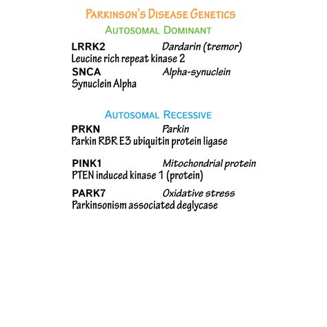 Neuroanatomy Glossary: Parkinson's Disease | ditki medical & biological
