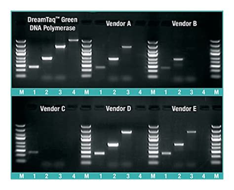 Thermo Scientific™ Dreamtaq Green Pcr Master Mix 2x Promotion 4 X 1