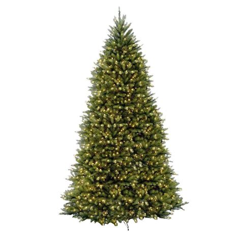 List 91 Pictures Pictures Of Xmas Trees Updated