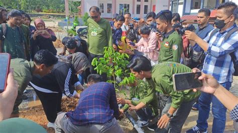 Jelang Mubes Iii Ika Alumni Fisip Uho Lakukan Aksi Lingkungan Tanam