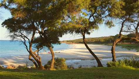 Waln Update On Landcare Representation At The National Level Western