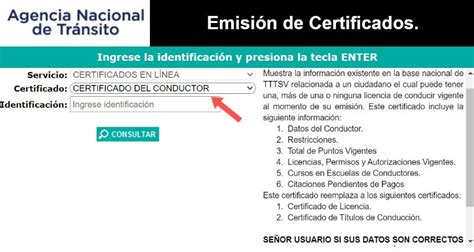 Generar Certificado Del Conductor O De Licencia Ant