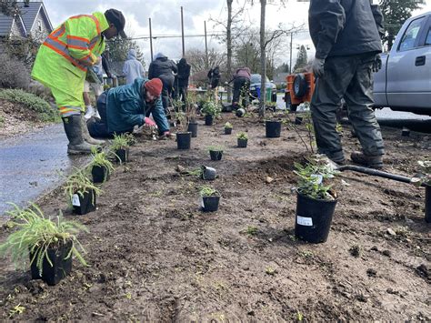 Collaborations - Backyard Habitats