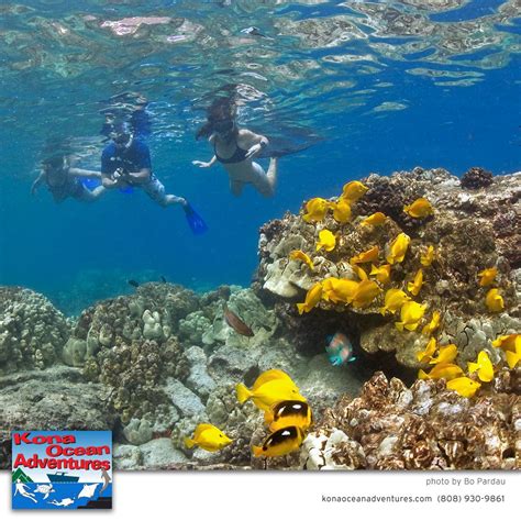 Kona Ocean Adventures | Cruises, Scuba Diving & Snorkeling Kona