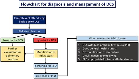 The Management Of Patent Foramen Ovale In Divers Where Do We Stand