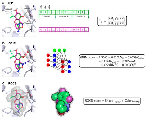 Molecules Free Full Text Merging Ligand Based And Structure Based