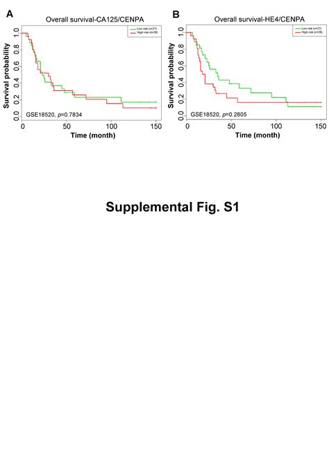 Overexpression Of Centromere Protein K Cenpk In Ovarian Cancer Is