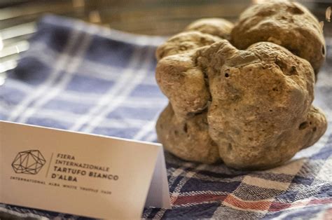 Fiera del Tartufo Bianco d Alba 2021 la 91esima edizione inizierà il 9