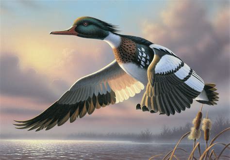 Flying Duck Painting at PaintingValley.com | Explore collection of ...