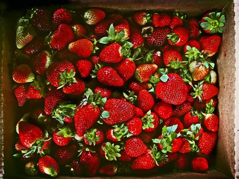 The Link Between Food And Sex