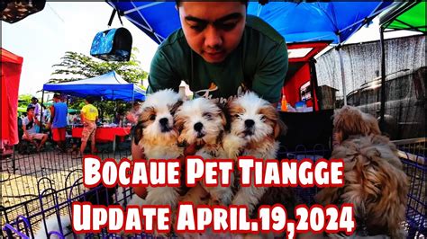 Bocaue Pet Tiangge Update April 19 2024 YouTube