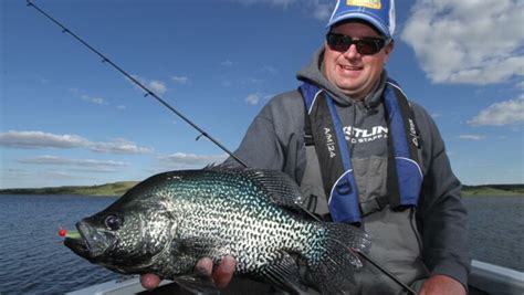 Crappie Fishing Virtual Angling