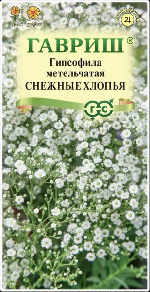 Гипсофилы многолетние Гавриш Гипсофила метельчатая Снежные Хлопья ...