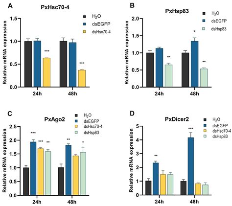 Ijms Free Full Text Hsp70 And Hsp90 Elaborately Regulate Rnai