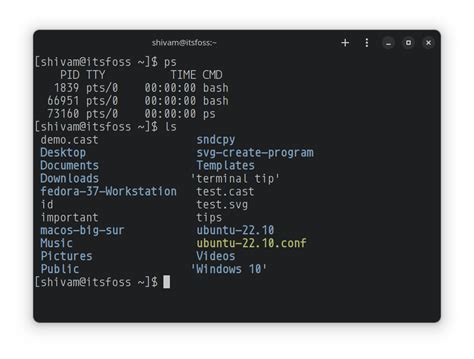 10 Beautiful Fonts For Your Linux Terminal Laptrinhx