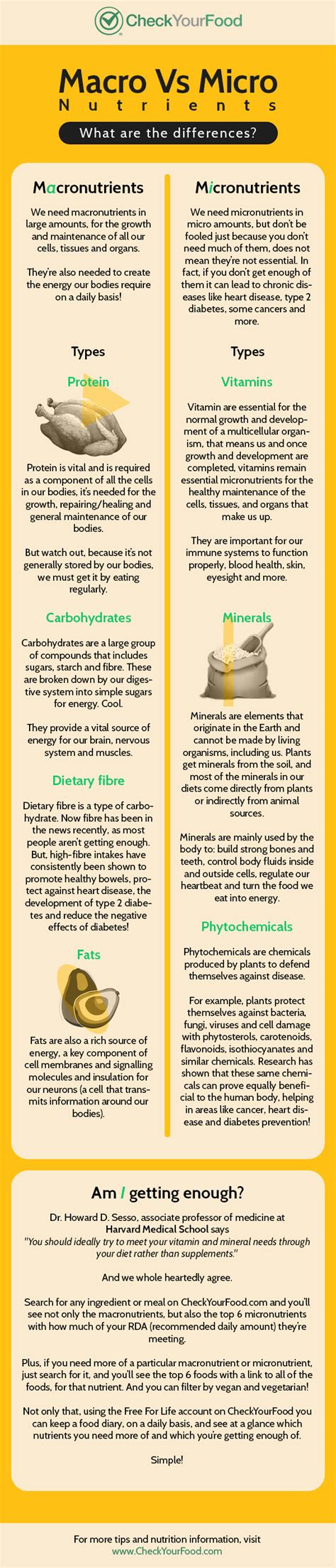 What’s the difference between macro and micronutrients?