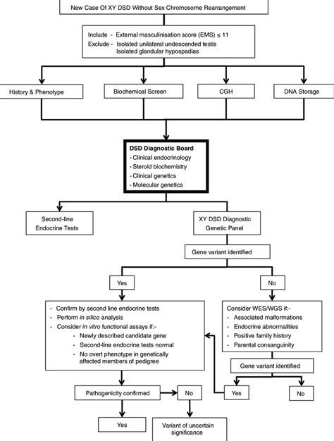 Suggested Pathway For Investigating Cases Of 46 Xy Disorder Of Sex Download Scientific Diagram