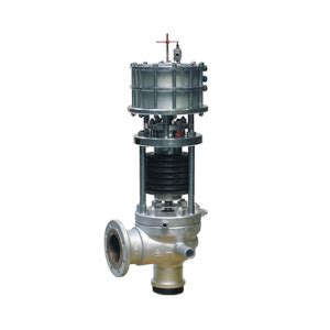 Полноподъемный предохранительный клапан с дополнительной нагрузкой PV ...