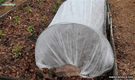 Cómo funcionan las mantas térmicas en la agricultura Manta Térmico