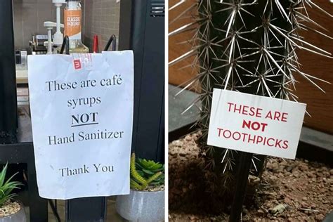 50 Funny Signs That Might Get You Wondering “Just What In The World ...