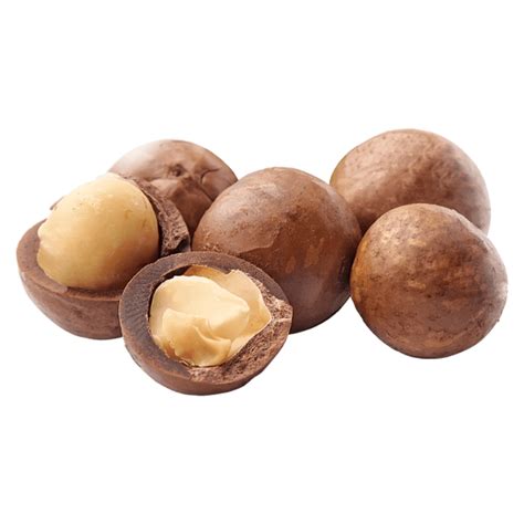 Bio Macadamia N Sse Mit Schale Kg Von Frischesortiment Bei Greenist De