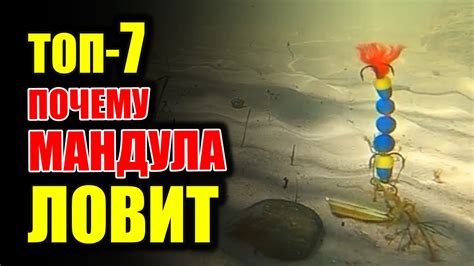 ТОП 7 преимуществ Мандулы или почему мандула Хорошо ловит - YouTube