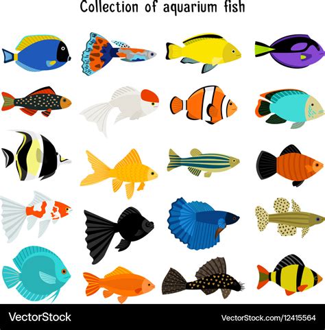 Aquarium Fish Set Underwater Diving Fishes Vector Image