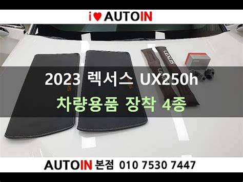 렉서스 UX250h F-Sport 차량용품 장착 (틈새쿠션, 도어 로고램프 등) - YouTube