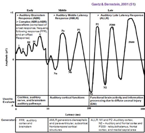 Event Related Potential ERP Markers Of Traumatic Brain Injury TBI