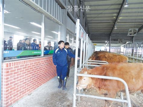 혈통한우 경매 및 송아지 릴레이 기증행사 개최