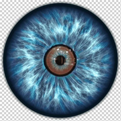 Ojo Iris Pupila Ojos Azul Lente Gente Png Klipartz