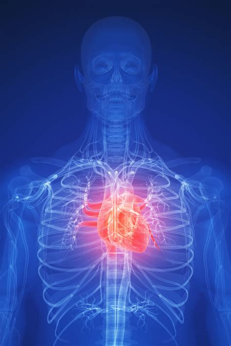 Heart Disease: Overview and More