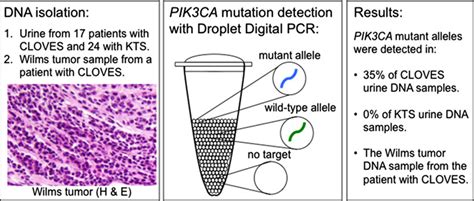 Causal Somatic Mutations In Urine Dna From Persons With The Cloves