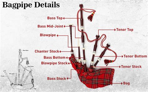 Great Scottish Highland Bagpipes Full Silver Mount Natural