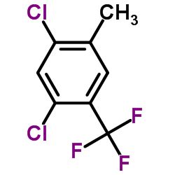 China 1 5 Dicloro 2 Metil 4 Trifluorometil Benceno CAS 115571 61 4 3