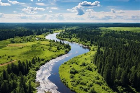 Premium Photo Aerial View Of Green Forest And River Marsh Landscape