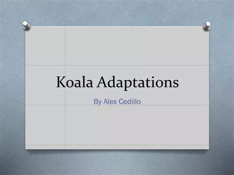 PPT - Koala Adaptations PowerPoint Presentation, free download - ID:2445315