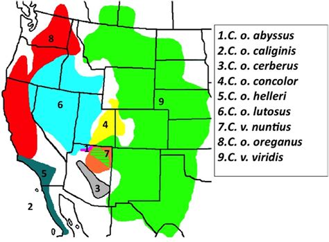 Western Rattlesnake Map