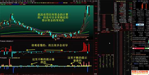 通达信暴涨的动力 资金流向副图指标源码 通达信公式 公式网