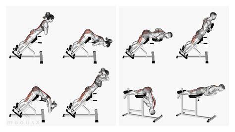 Hyperextensions So Funktioniert Das R Ckenstrecken Am Ger T