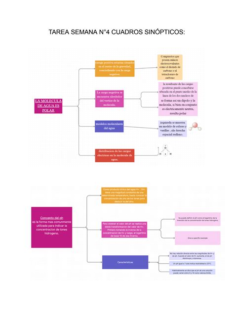 SOLUTION Actividad N 4 Cuadros Sin Pticos Studypool