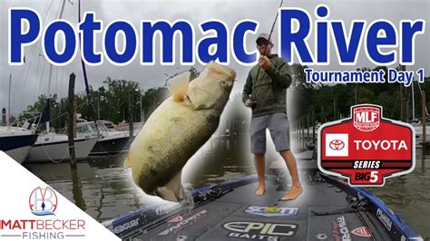 Potomac River Mlf Toyota Series Northern Division Tournament