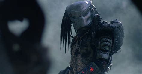 jungle hunter profile     predator avp central