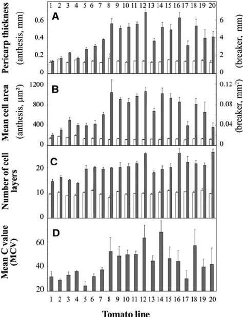 Cellular Parameters Of Pericarp At Anthesis And Breaker Stages Tomato